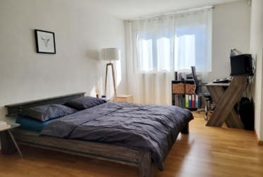 BEL APPARTEMENT AU COEUR DE PRILLY